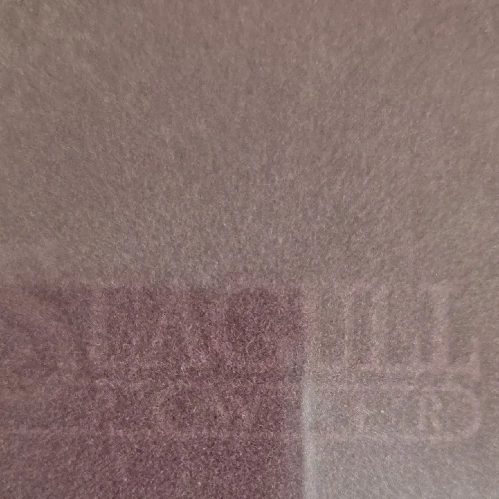 Seagull charming silver